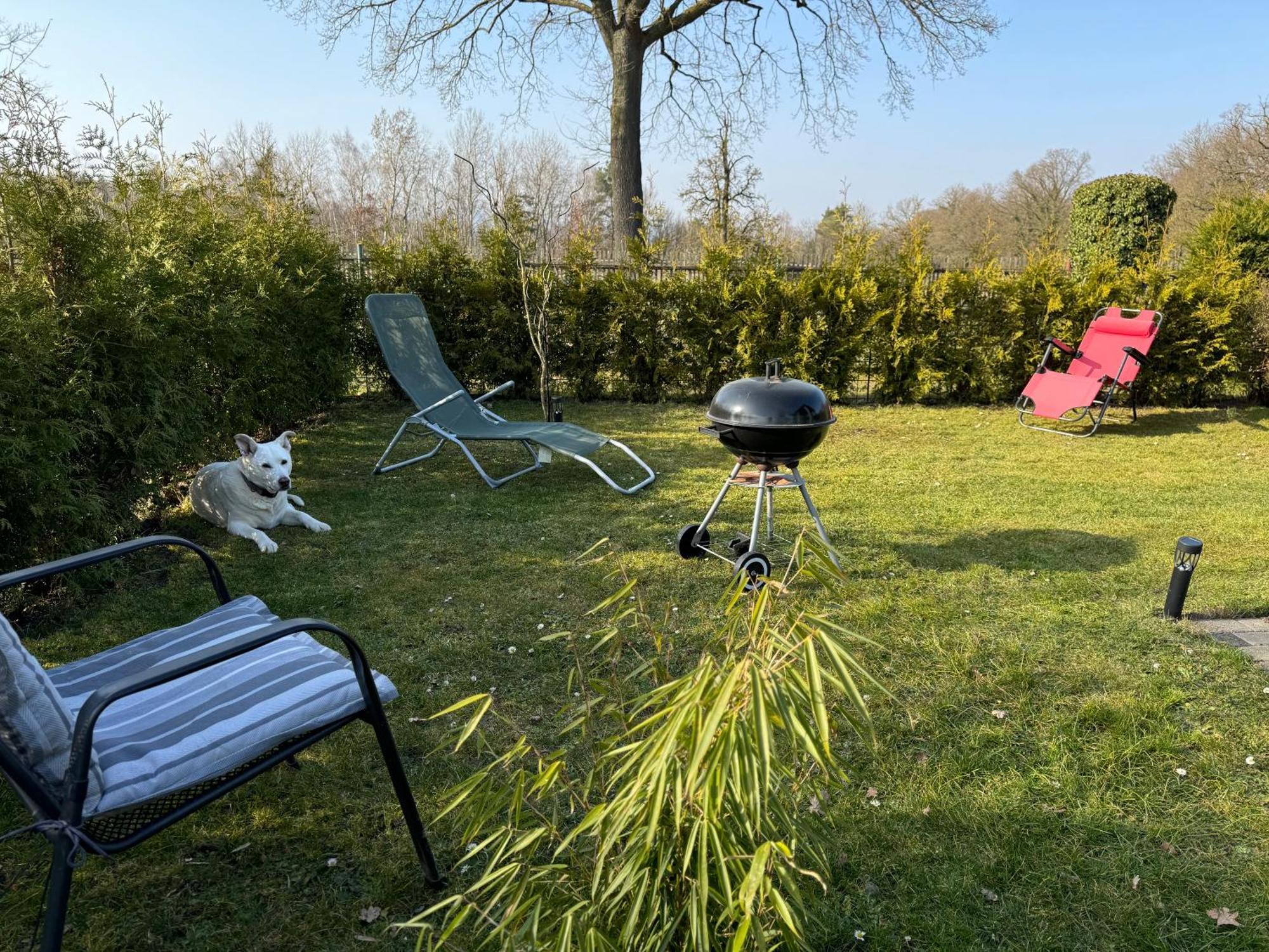 Ferienwohnung Am See Dillich - Ruhige Lage - Eigener Garten - Direkt Neben Einem Natursee Borken  Eksteriør bilde