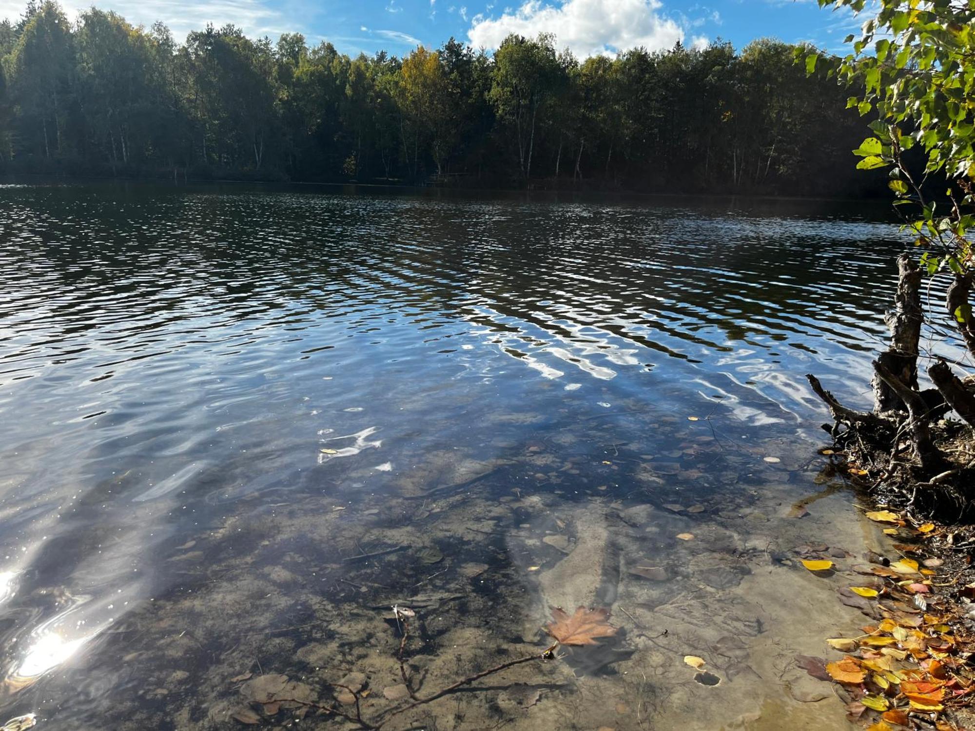 Ferienwohnung Am See Dillich - Ruhige Lage - Eigener Garten - Direkt Neben Einem Natursee Borken  Eksteriør bilde